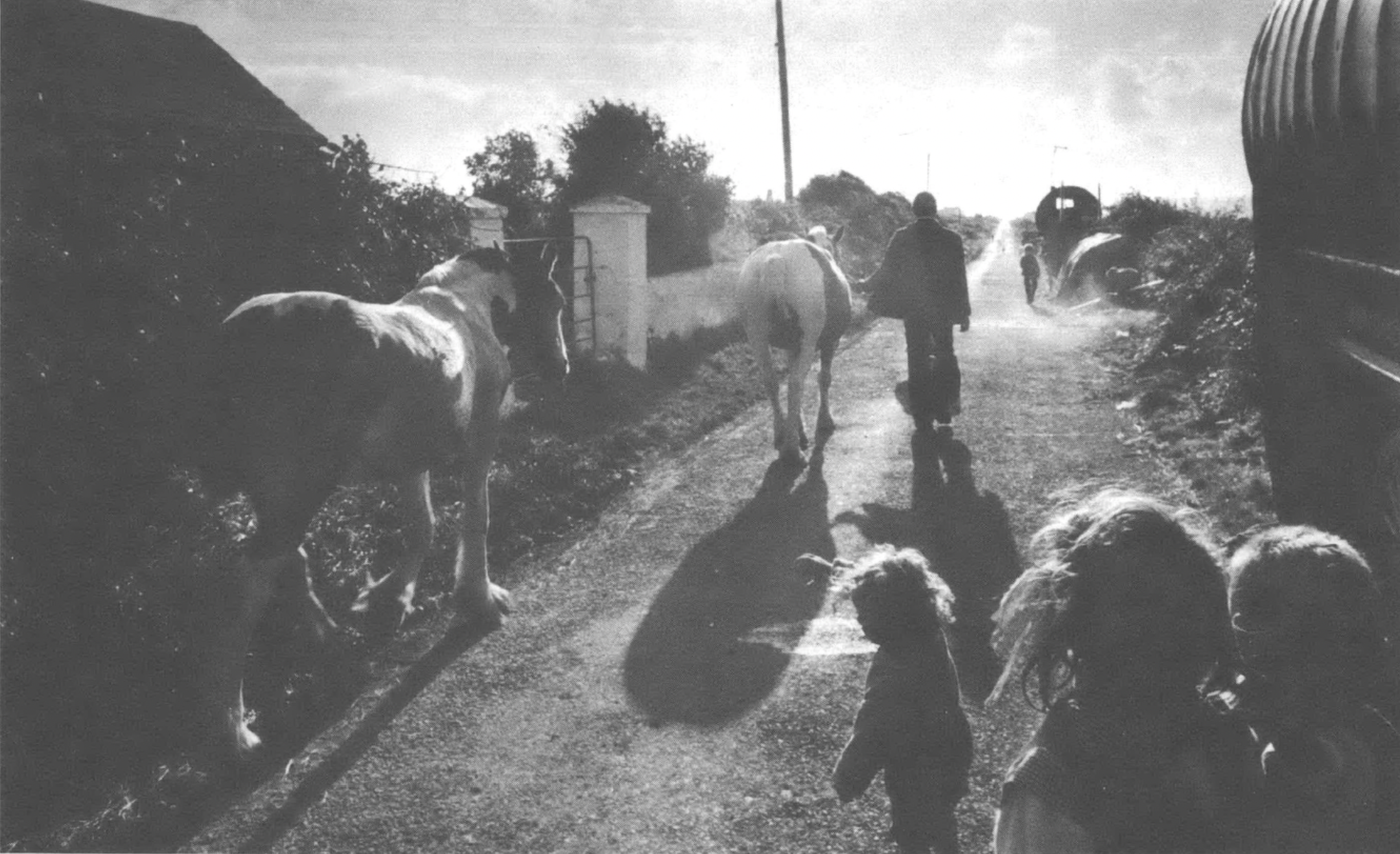 man and children walking alongside horses