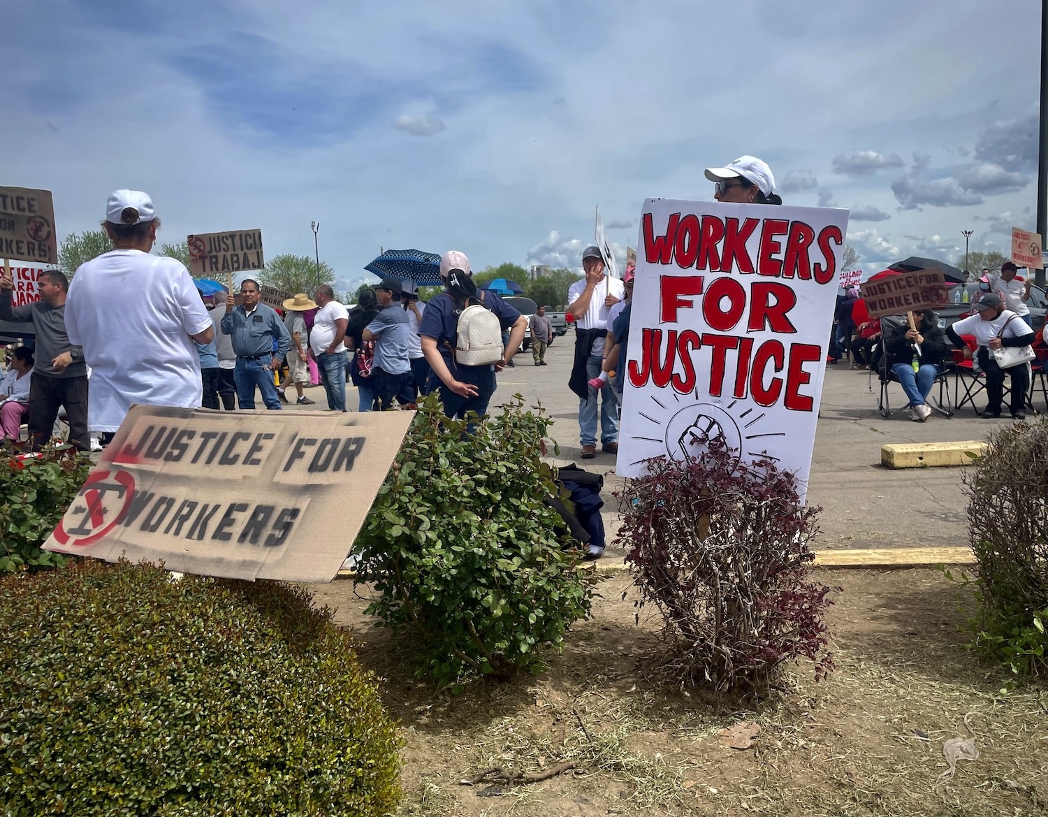 Workers mill about outside holding signs calling for justice