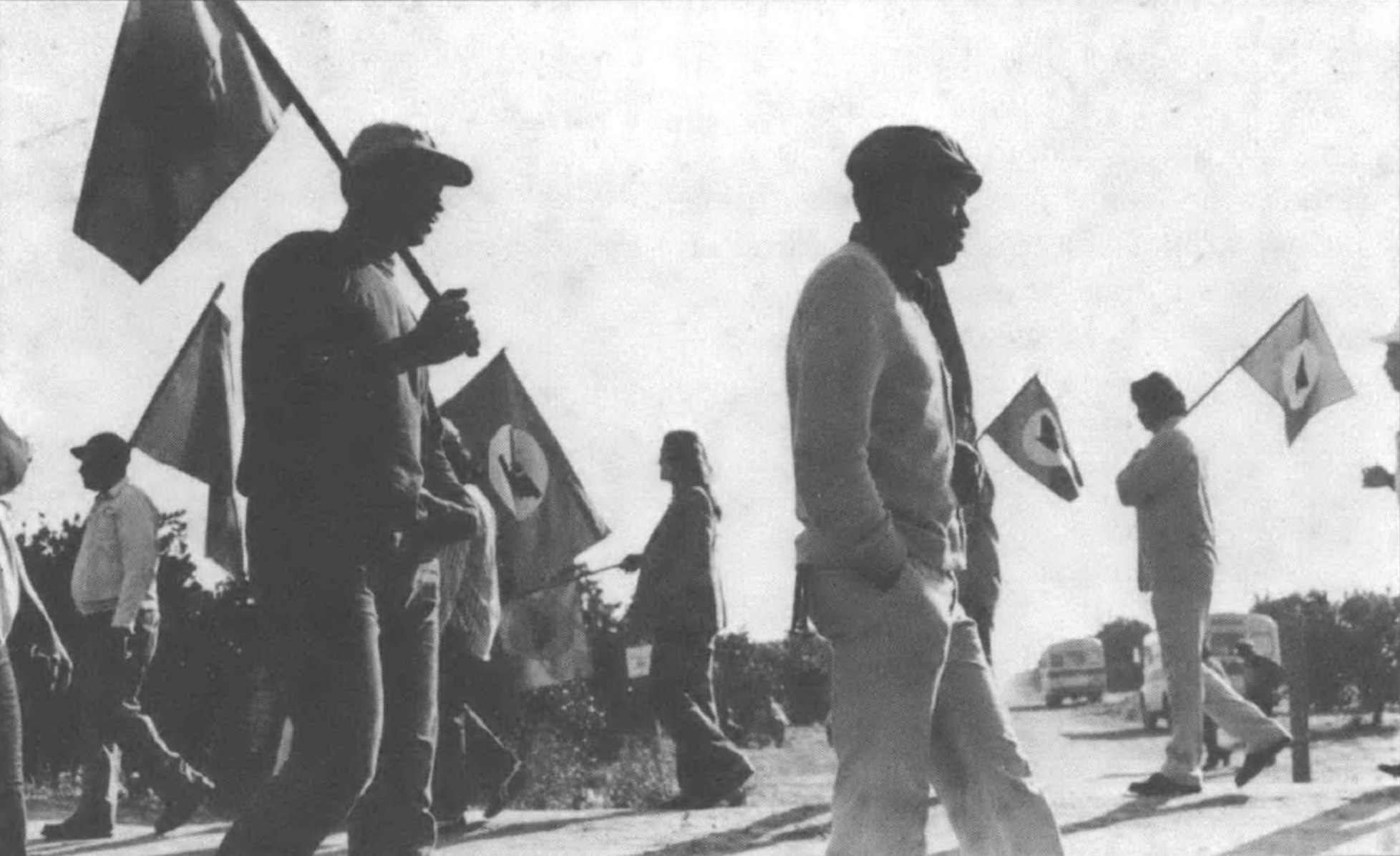 people marching holding flags