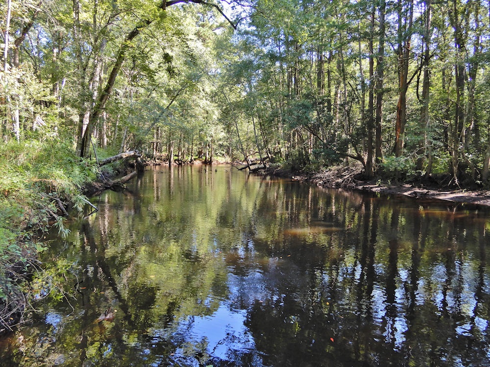 Lumber River Lumber River